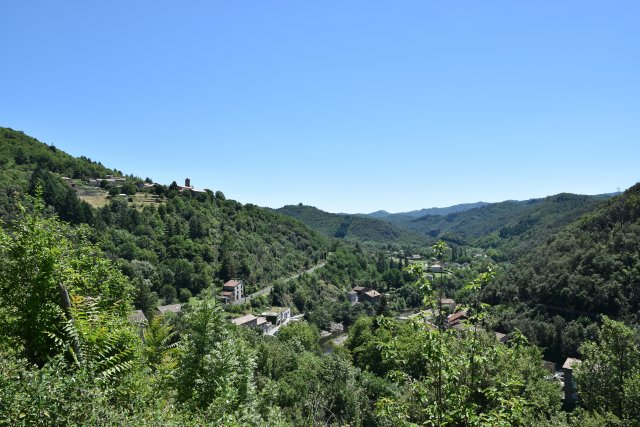 dsc_1181